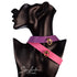 SiaLinda: Halsband Vacchetta Leder aus Italien violett purple, goldener O-Ring, Premium, Geschenkverpackung - SiaLinda.com
